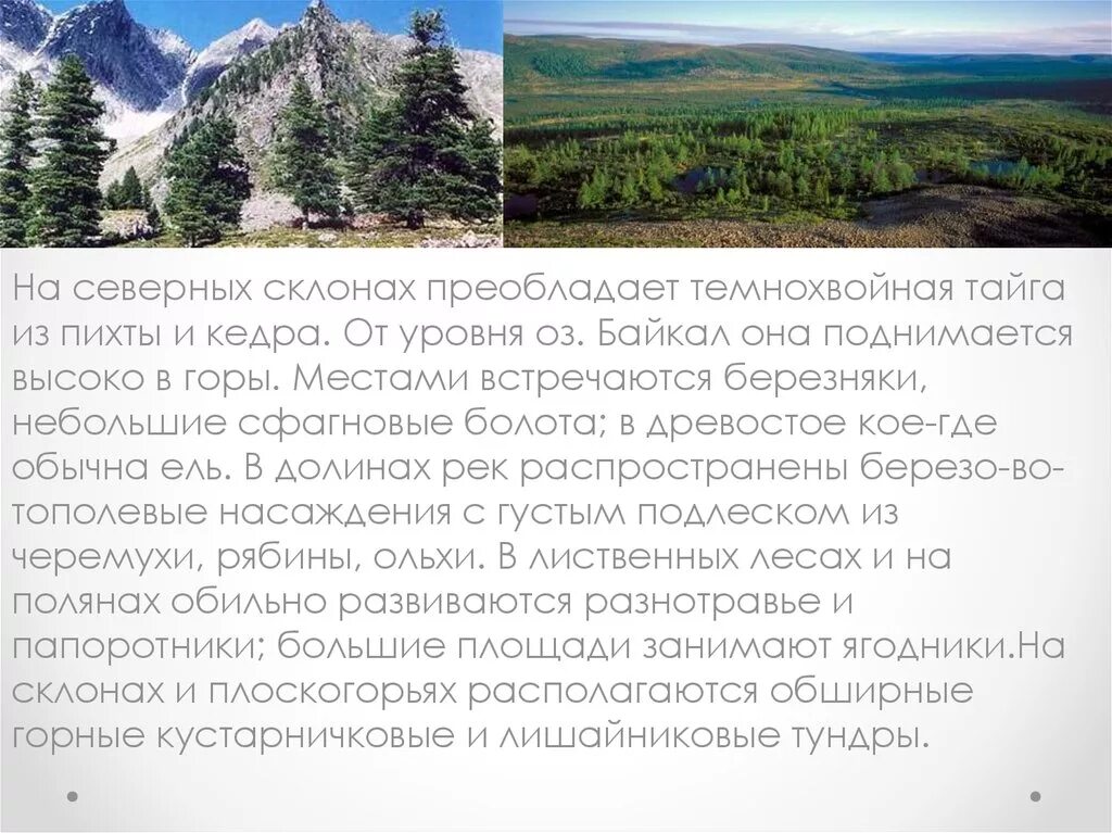 Байкальский заповедник информация. Байкальский заповедник. презентация на тему байкальский заповедник. презентация на тему темнохвойная тайга. презентация байкальский биосферный заповедник.