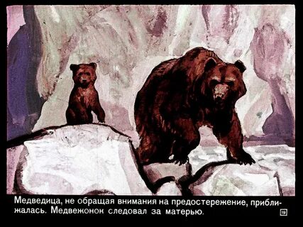 Главные герои медведь
