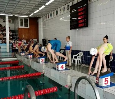 В соревнованиях по плаванию участвуют 4 спортсмена