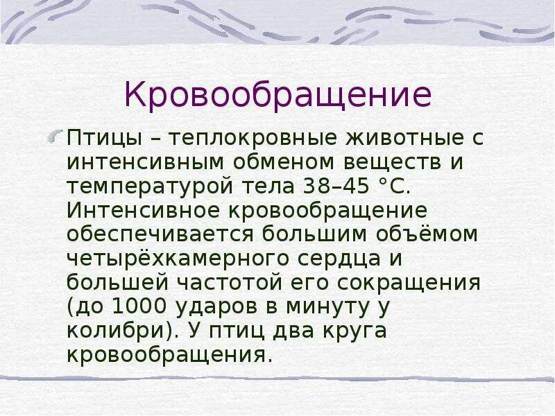 Объясните почему птицы относятся к теплокровным