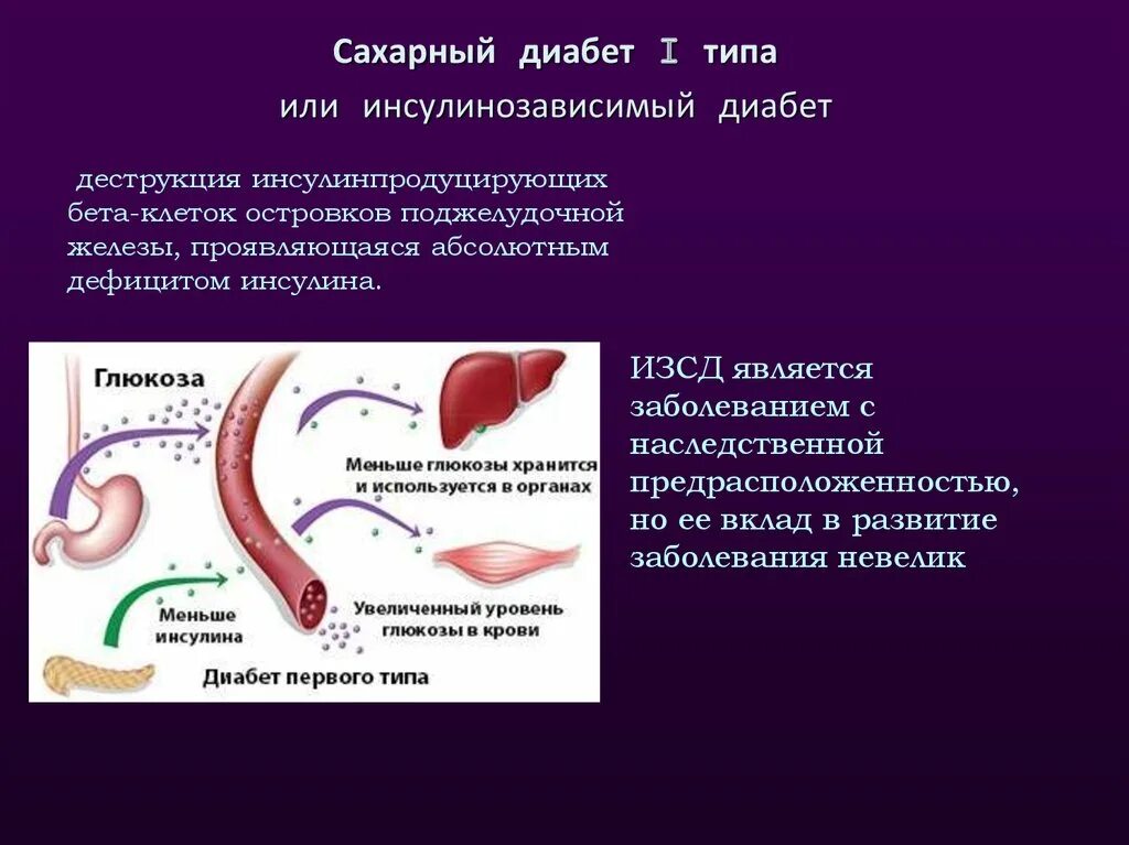 Пересадка железы при сахарном диабете. Сахарный диабет 1 типа инсулинозависимый. Осложнения инсулинозависимого сахарного диабета. Сахарный диабет 2 типа инсулинозависимый. Инсулинозависимый сахарный диабет это диабет 1 типа.