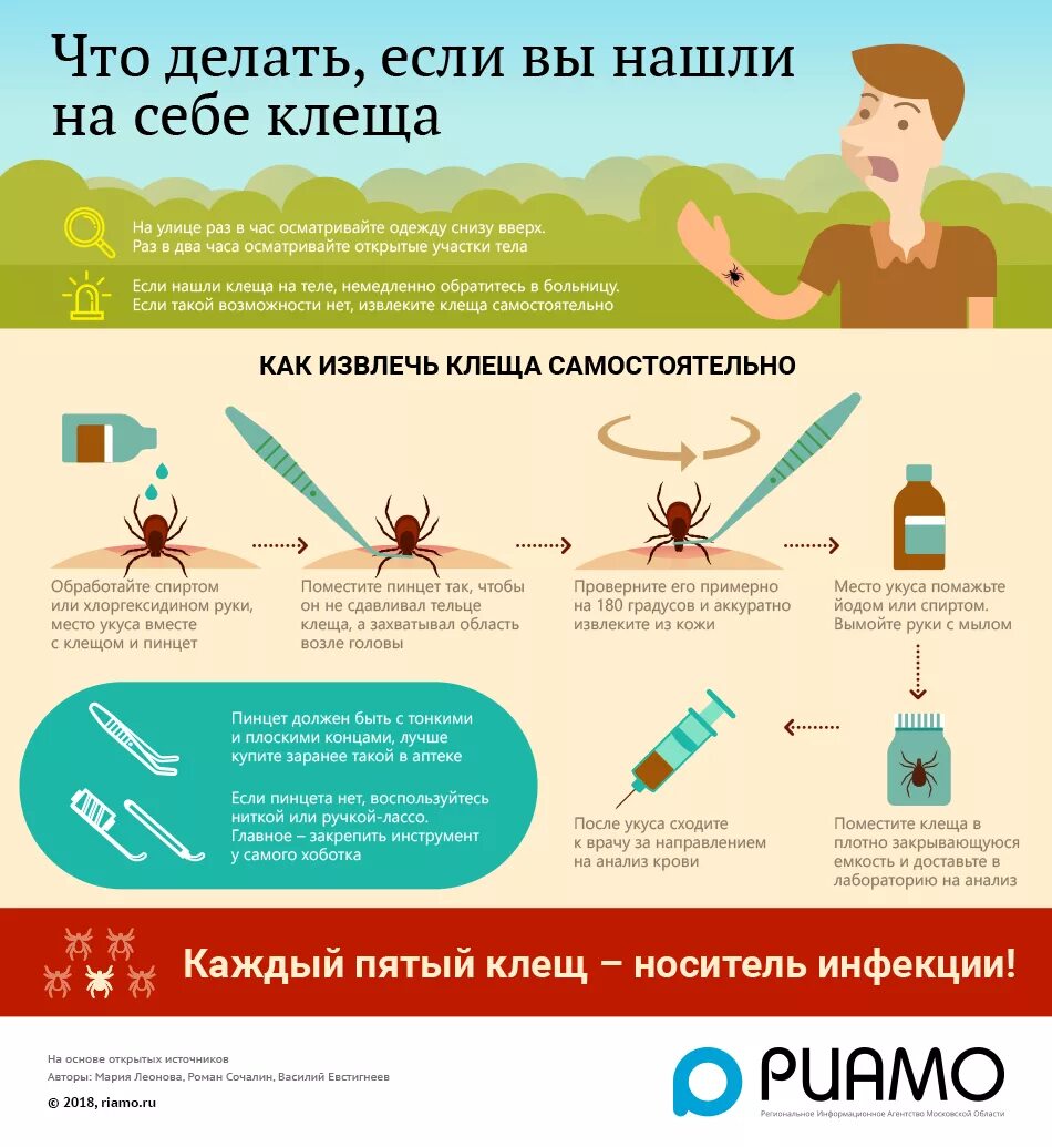 Как правильно выкручивать клеща. Что делать если обнаружили клеща.