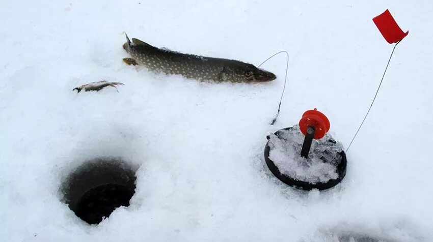 тройники на жерлицы зимой. жерлица зимняя crazy brothers "щуколов". оснастка жерлицы для зимней рыбалки схема. тройники на жерлицы зимой. жерлица курская.