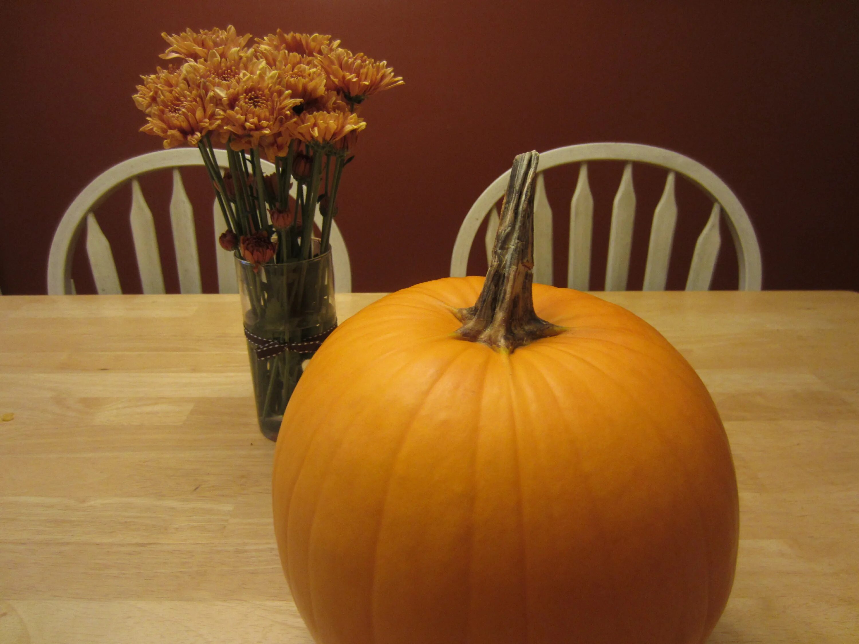 Фицифолия тыква. Тыква фиголистная оранжевая. Дом тыква. Польза домашней тыквы. Тыква бахчевая культура.