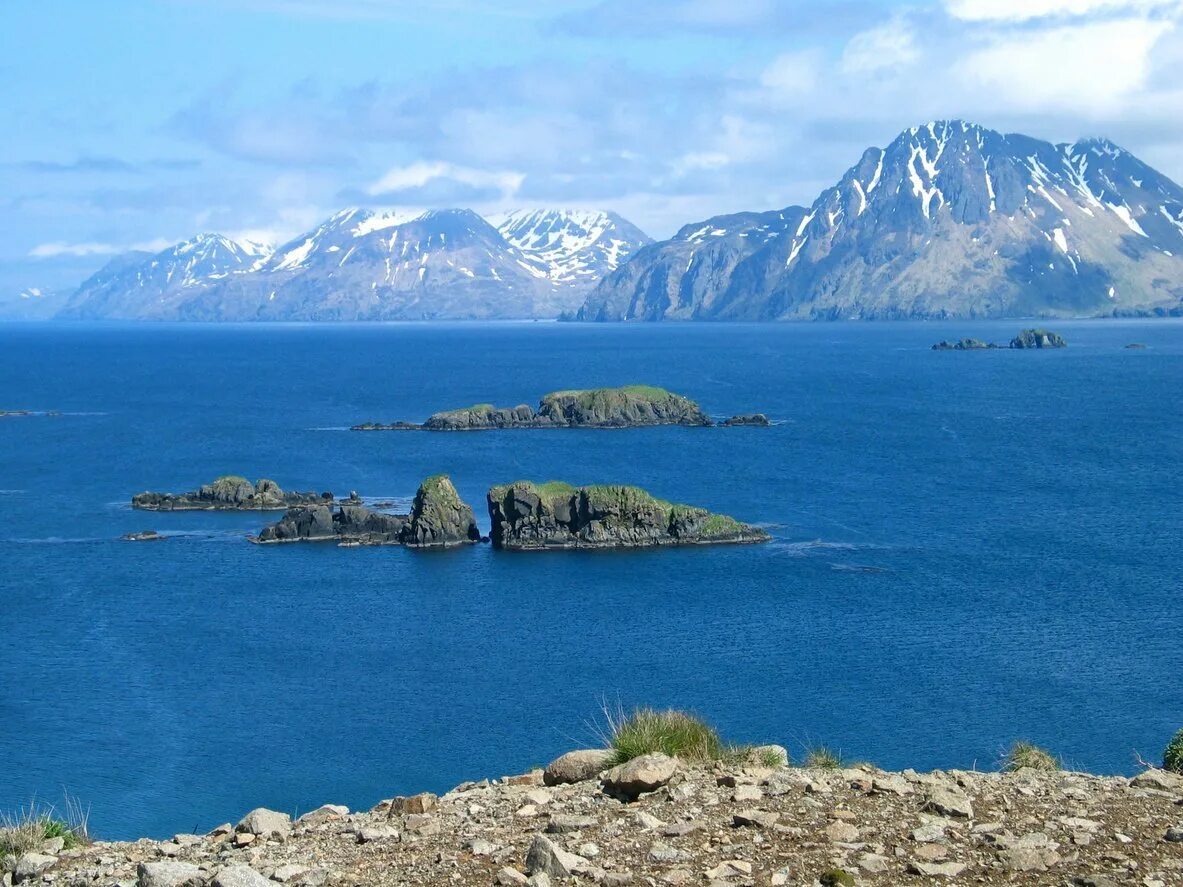 Архипелаг алеутские острова. Аляска и Алеутские острова. Залив Качемак Аляска. Берингово море и Аляска. Берингов остров Аляска.