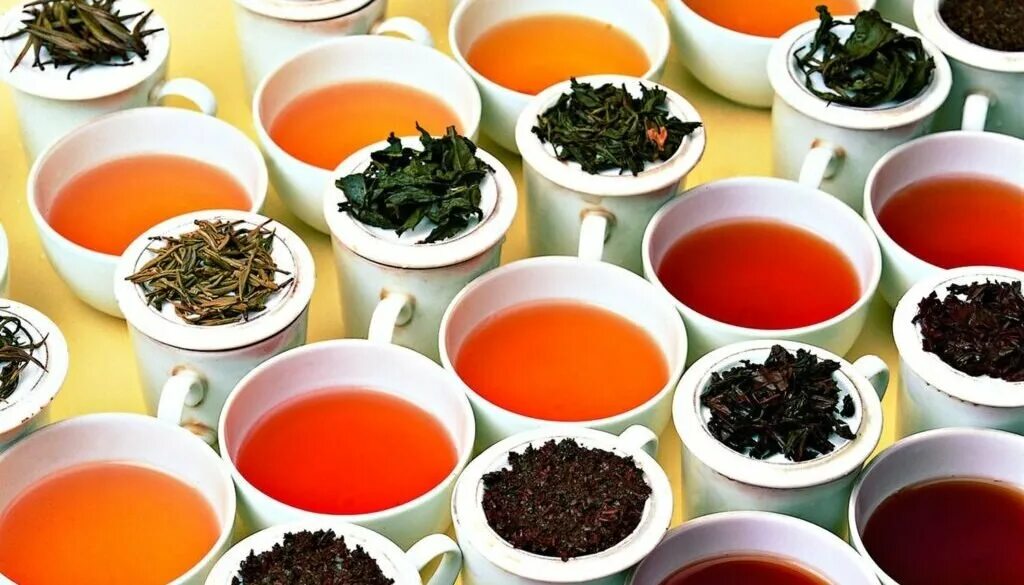 Чай. Разные чаи. Разновидности чая. Много чая.
