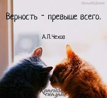 Превыше всего любви