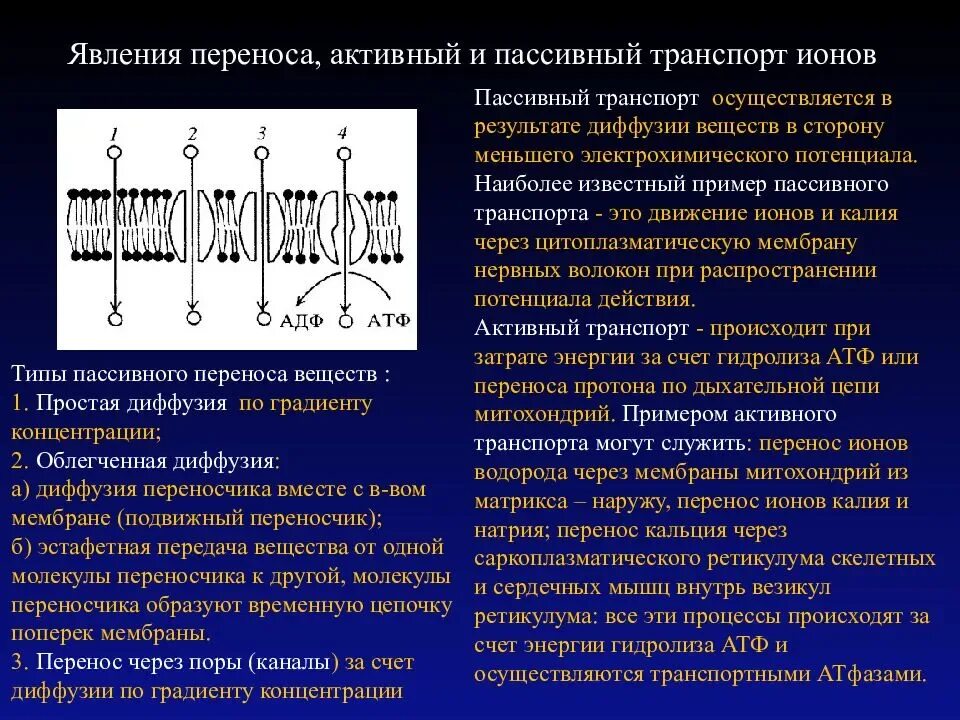 Диффузная способность. Перенос ионов через мембрану. Облегчённая диффузия активный транспорт. Пассивный транспорт облегченная диффузия. Облегченная диффузия механизм транспорта.