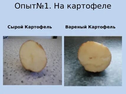 Почему нельзя есть сырую картошку