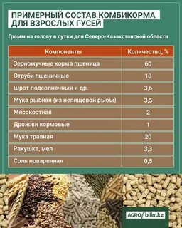 Комбикорм простой