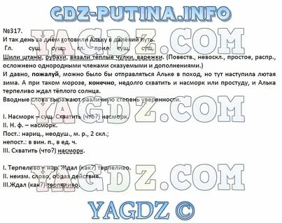 Русский язык 5 класс учебник упражнение 317