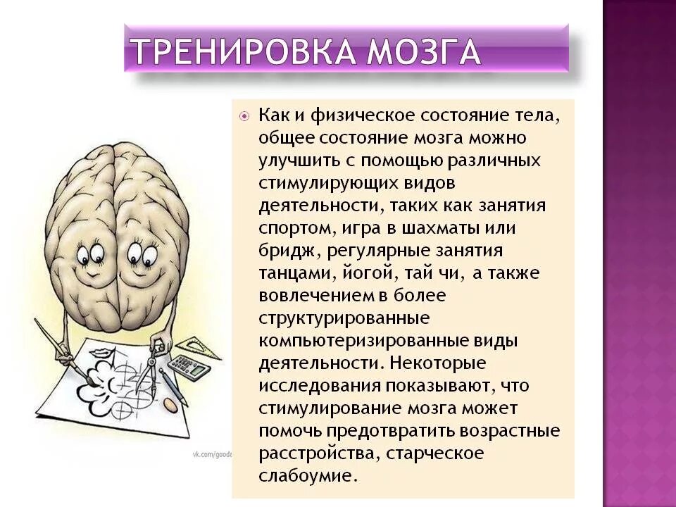 Основы работы мозга. Тренировка мозга. Гимнастика мозга. Упражнения для мозга и памяти. Развиваем мозг упражнения.