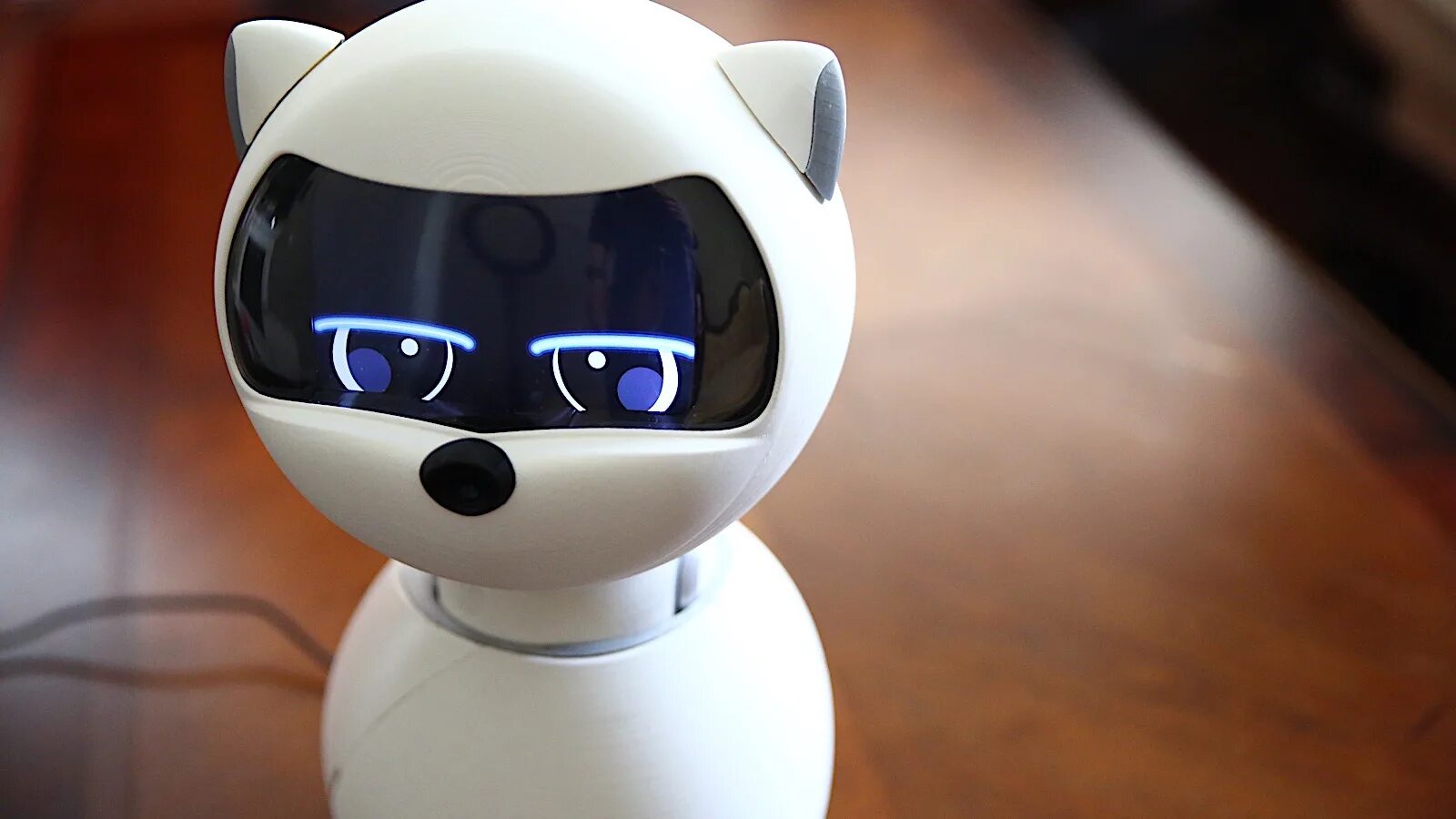 Умный робот с искусственным интеллектом домашний питомец. Робот kiki. настольный робот-компаньон. кот робот компаньон. робот кики и робот алиса.