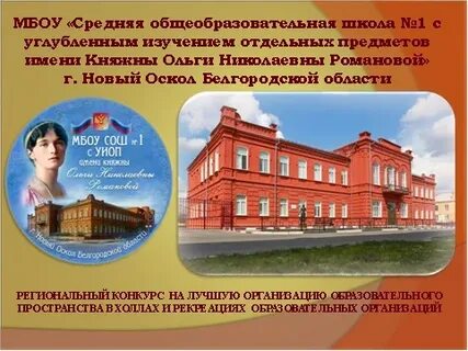Образовательная организация школа 1