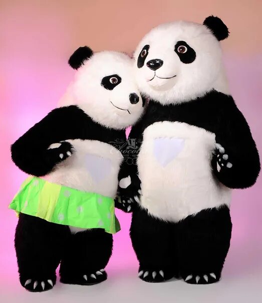 Танцующая панда видео. Панда поет. Танцующая Панда. Панда шоу. Пандочка танцует.