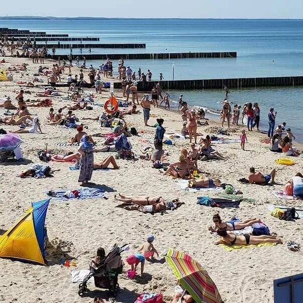 Море в зеленоградске сейчас. Пляж в Зеленоградске Калининградской области 2021. Зеленоградский пляж Калининград. Пляж в Зеленоградске Калининградской. Калининград Светлогорск Зеленоградск пляж Янтарный.