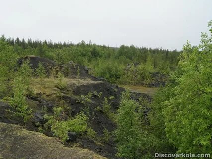 Погода в африканде