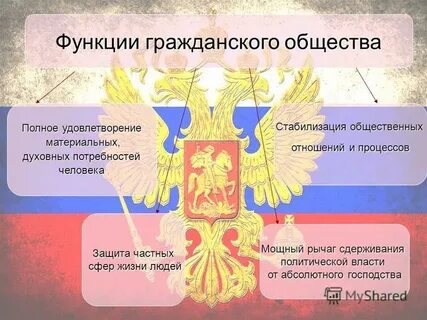 Примеры деятельности институтов гражданского общества