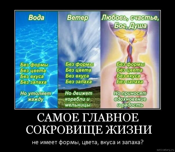 Любовь в жизни человека примеры Сила любви
