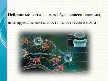 Сколько нейронов в современной нейросети