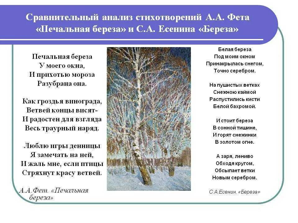 Анализ стихотворения учись у них фет. Фет печальная берёза Есенин. Анализ стихотворения белая береза Есенин. Печальная береза анализ. Стеховоренея берёза.