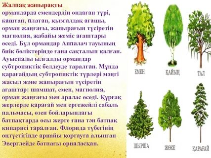 Порно бейнелерді онлайн көру