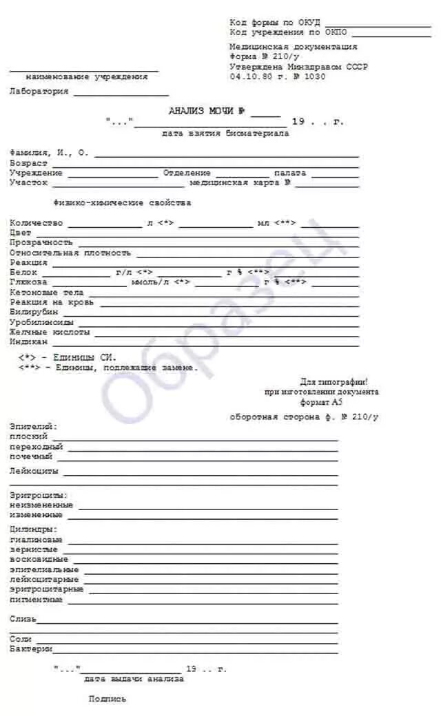 Направление на анализ пример. Форма 210/у направление на анализ. общий анализ мочи направление бланк образец. анализ мочи форма 210/у. клинический анализ крови форма бланка.