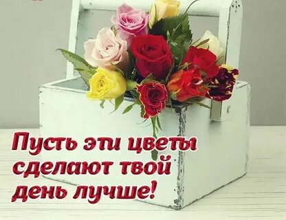 Твой день цветы