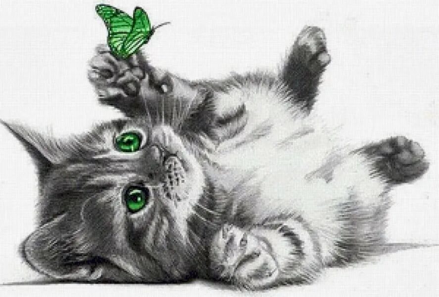 Рисунки животных коты