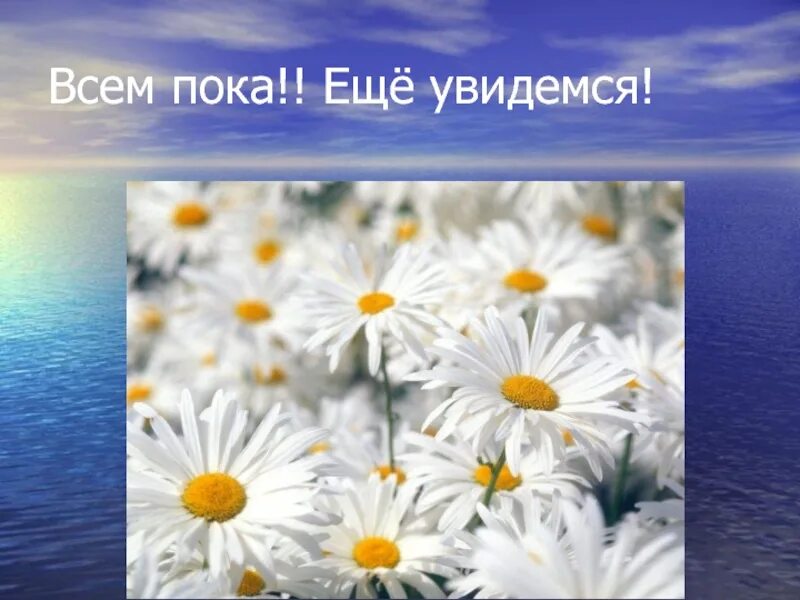 Увидемся или. Всем пока. всем пока,увидемся весной картинки. приглашение на природу.