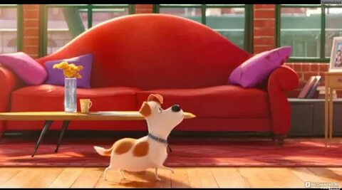 Secret life of pets english