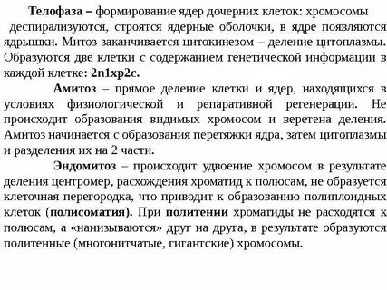 Развитие ядер