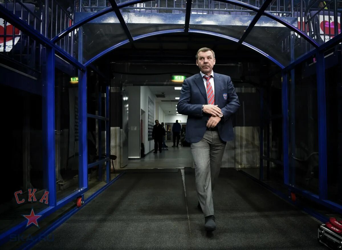 Блоггер барс. Блоггер барс