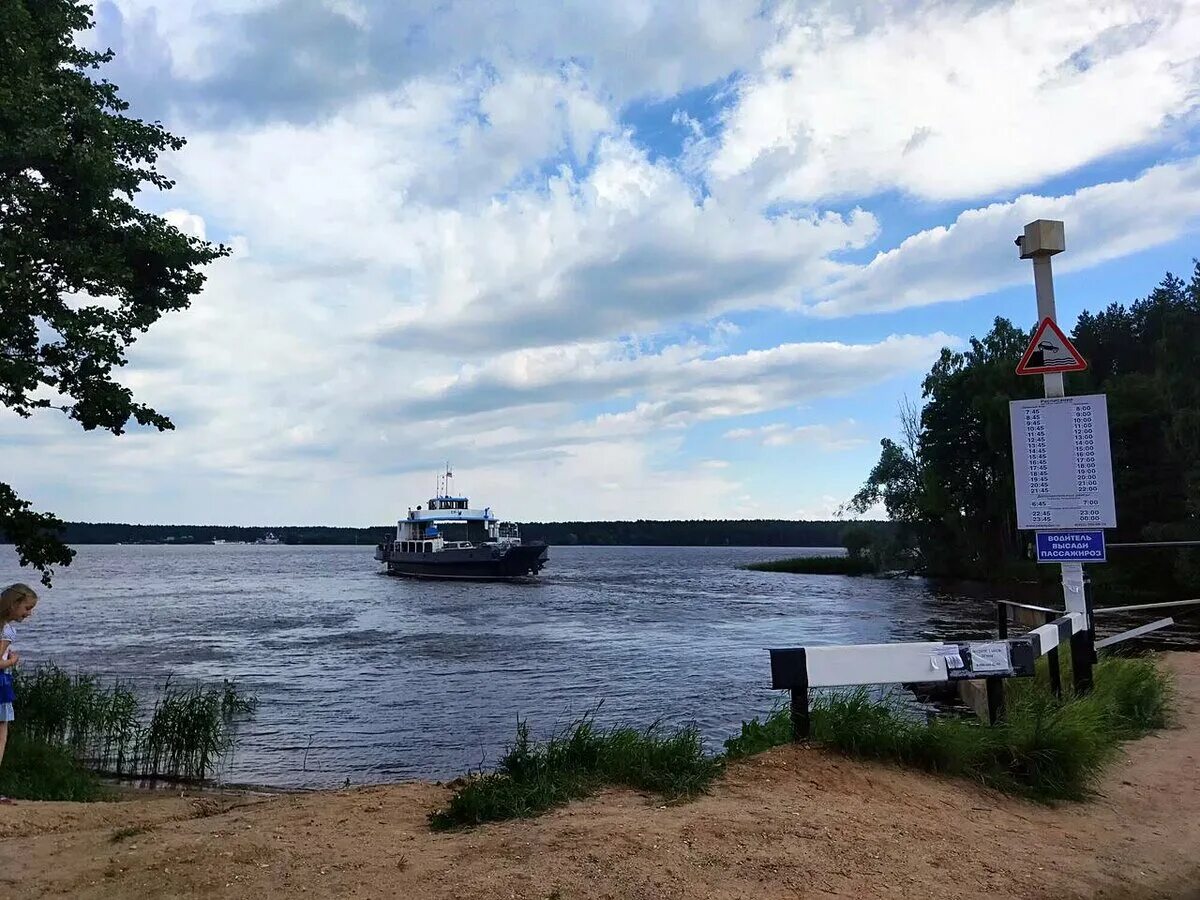 Конаково Тверская область пляж. Московское море Конаково. Конаково Бор пляж. Пляж в Конаково на Волге. Погода в конаковской области на неделю