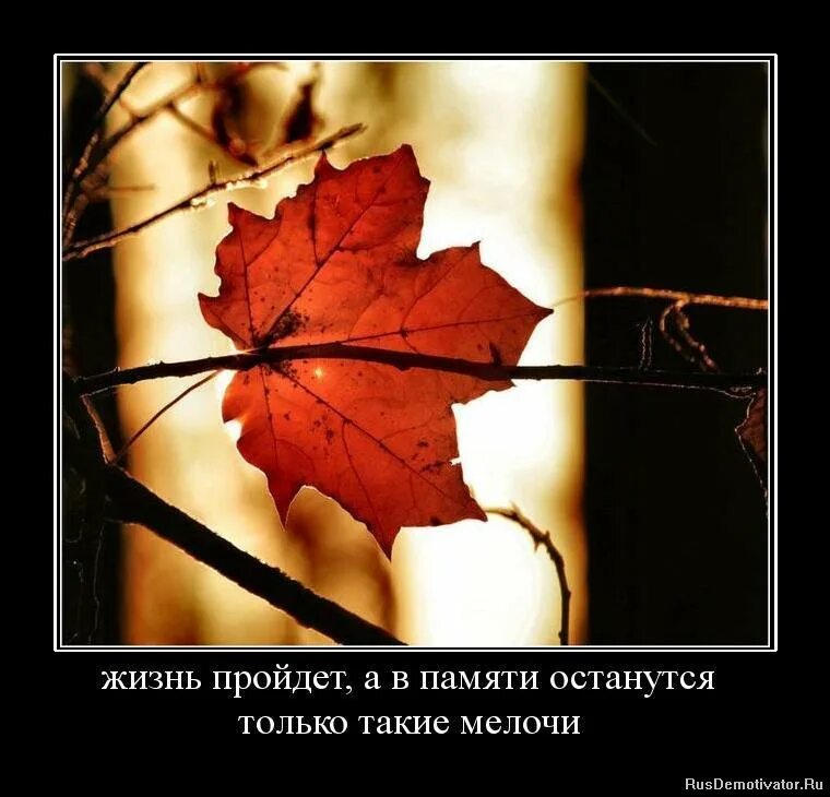 все проходит память остается. все проходит память остается. я тебя никогда не забуду цитаты. осталась только память. ты всегда останешься в моем сердце.