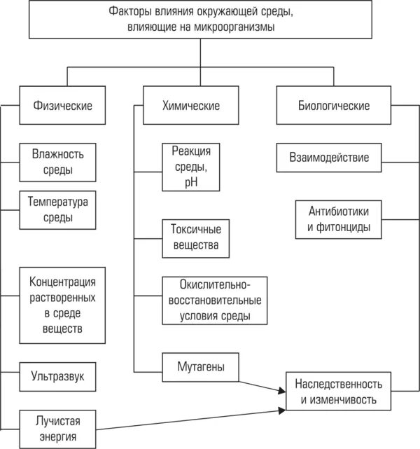Фактор влияющий на условия жизни. Влияние факторов внешней среды на микроорганизмы. Влияние факторов окружающей среды на микроорганизмы. Факторы внешней среды влияющие на микроорганизмы. Влияние факторов внешней среды на микроорганизмы микробиология.