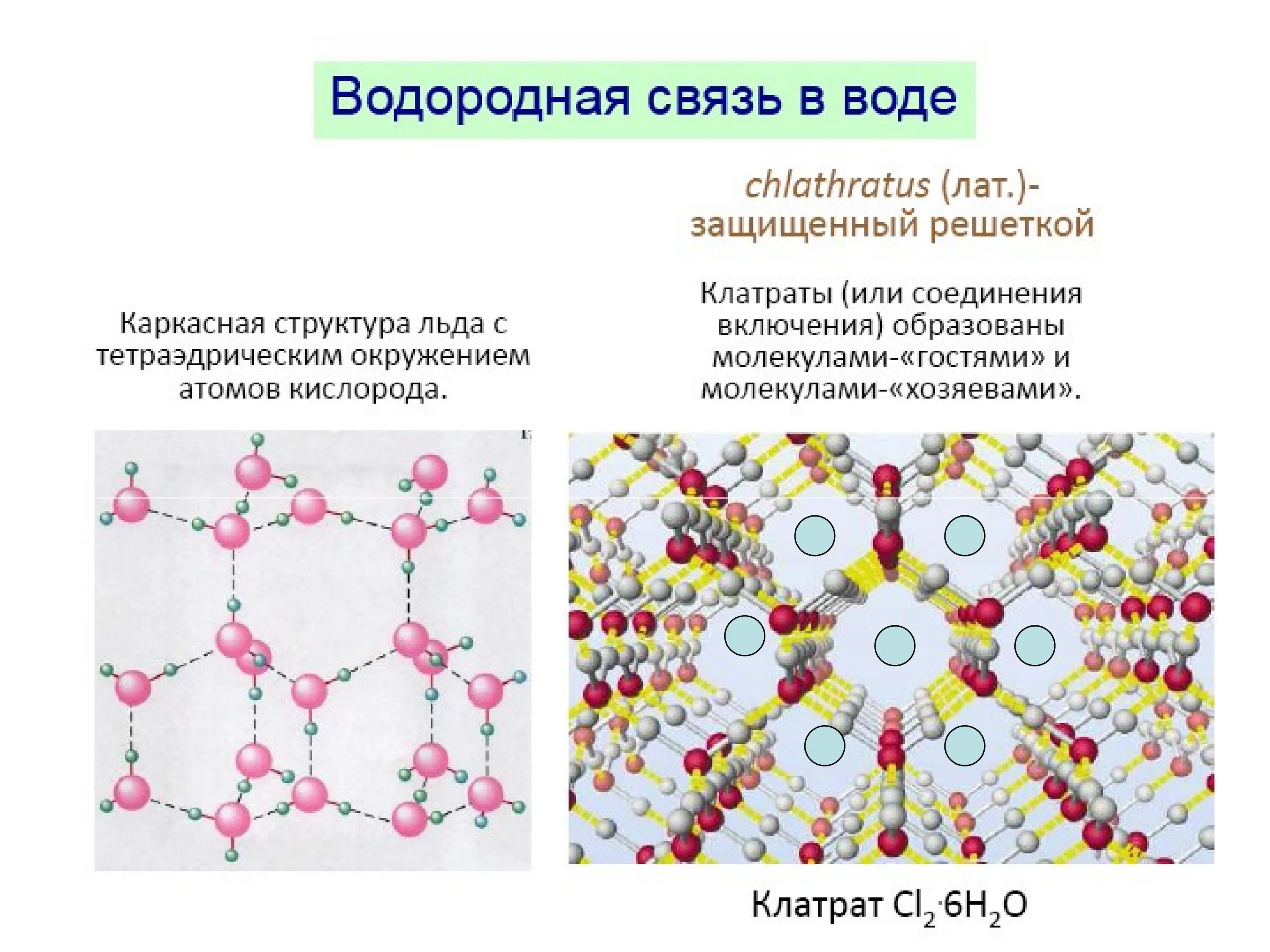 Личный форма связи. Соединения включения клатраты. Клатраты воды. Клатраты это в химии. Водородная связь.