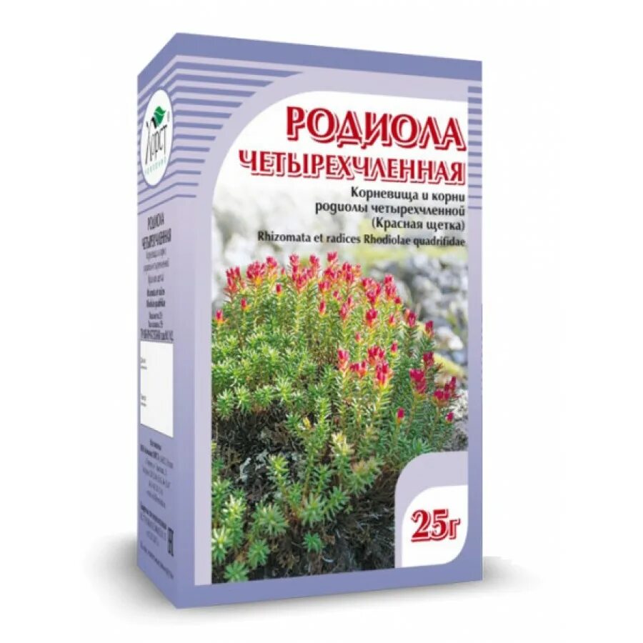 Красная щетка купить в аптеке. Родиола четырехчленная красная щетка. Родиола четырёхраздельная (красная щетка). Красная щетка (родиола четырехчленная) 25г. Радиола четырёхчленная красная щётка для женщин.