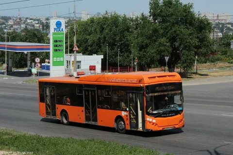 Автобус волгоградская область