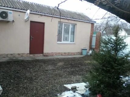 Агроном динской краснодарский край