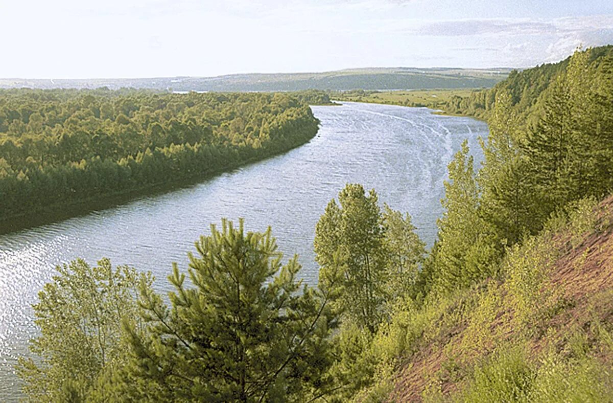 Татарск река. Река Ассель Саракташский район. Река Ассель Зианчуринский район. Татарские реки. Река татарка.