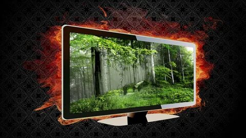 Фотообои экрана компьютера