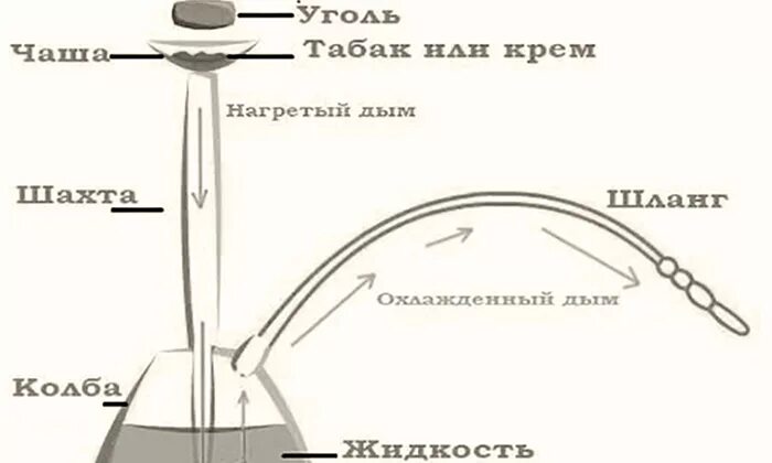 Устройство кальяна. Принцип действия кальяна схема. Принцип работы кальяна схема. Устройство кальяна и принцип работы. Принцип работы кальяна как устроен.