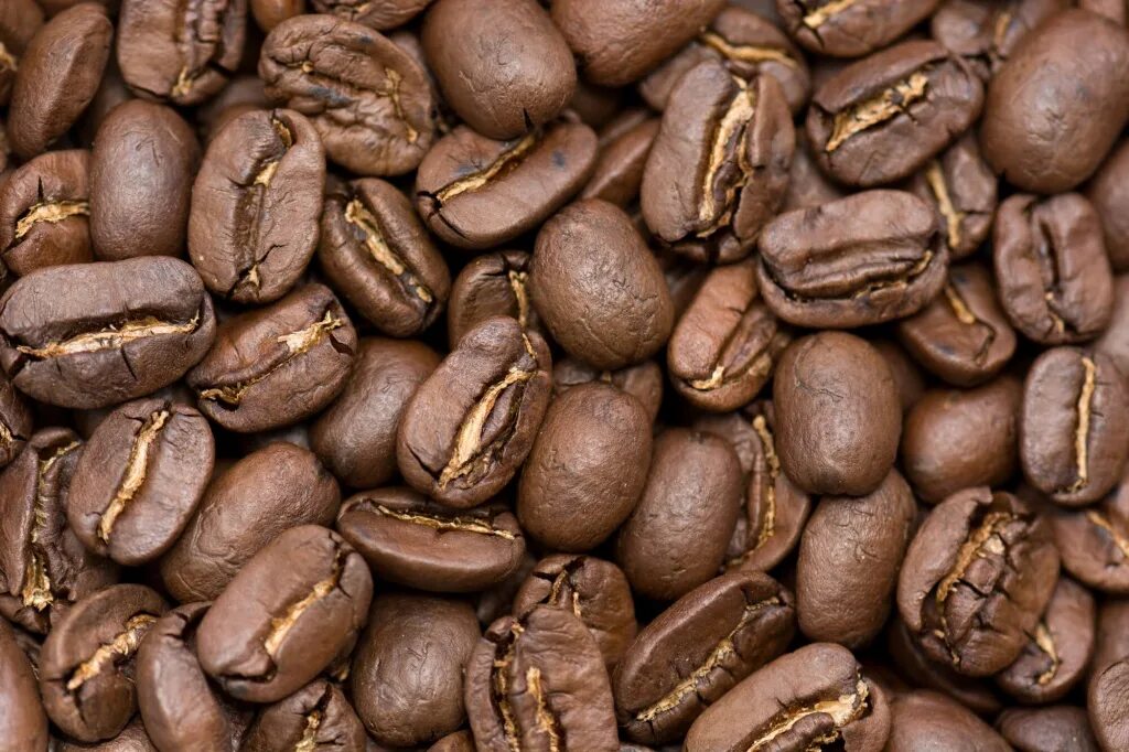Вкусные сорта кофе. Никарагуа Марагоджип кофе. Кофе Никарагуа Марагоджип в зернах. Кофе Вьетнам Арабика Далат. Кофе зерно Вьетнам Далат.