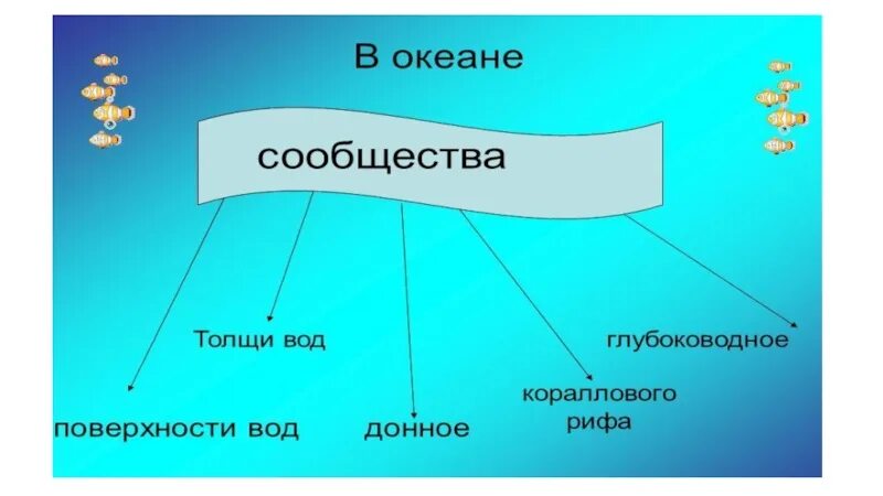 Сообщество толщи воды