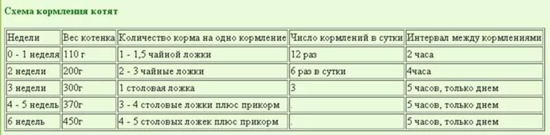 2 недели перевести в сутки. Норма кормления котенка 6 недель. Нормы кормления новорожденных котят. Таблица кормления новорожденного котенка. График кормления котенка.