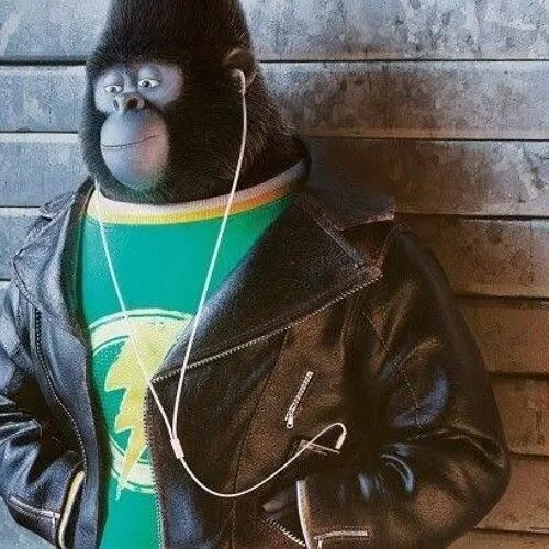 Зверобой горилла