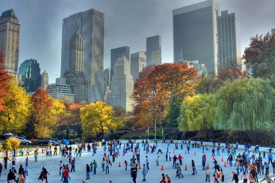 My new park. Центральный парк Нью-Йорк. Америка Центральный парк Нью-Йорк. Централ парк Нью-Йорк площадь. Централ парк США.