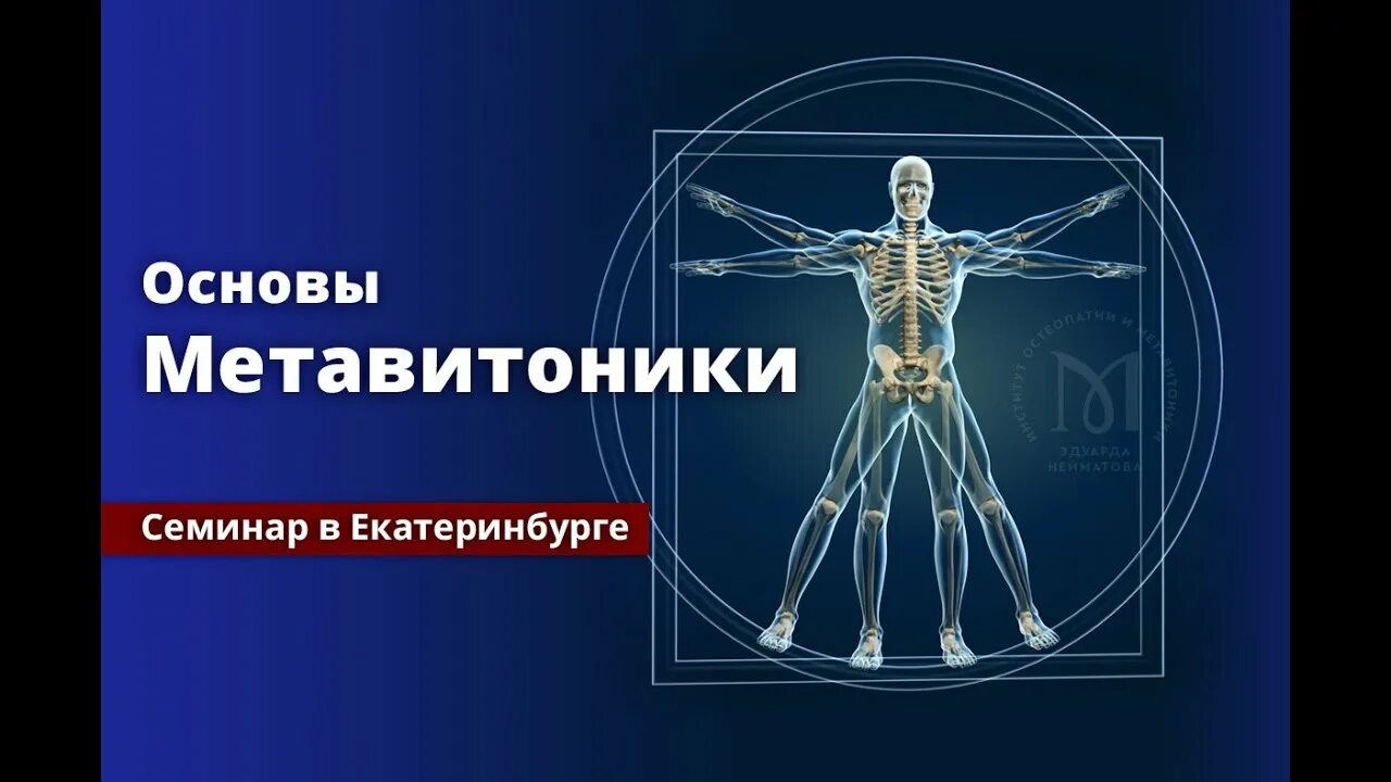 Метавитоника. Нейматов метавитоника. Институт метавитоника и остеопатии. Справочник остеопата тело человека.