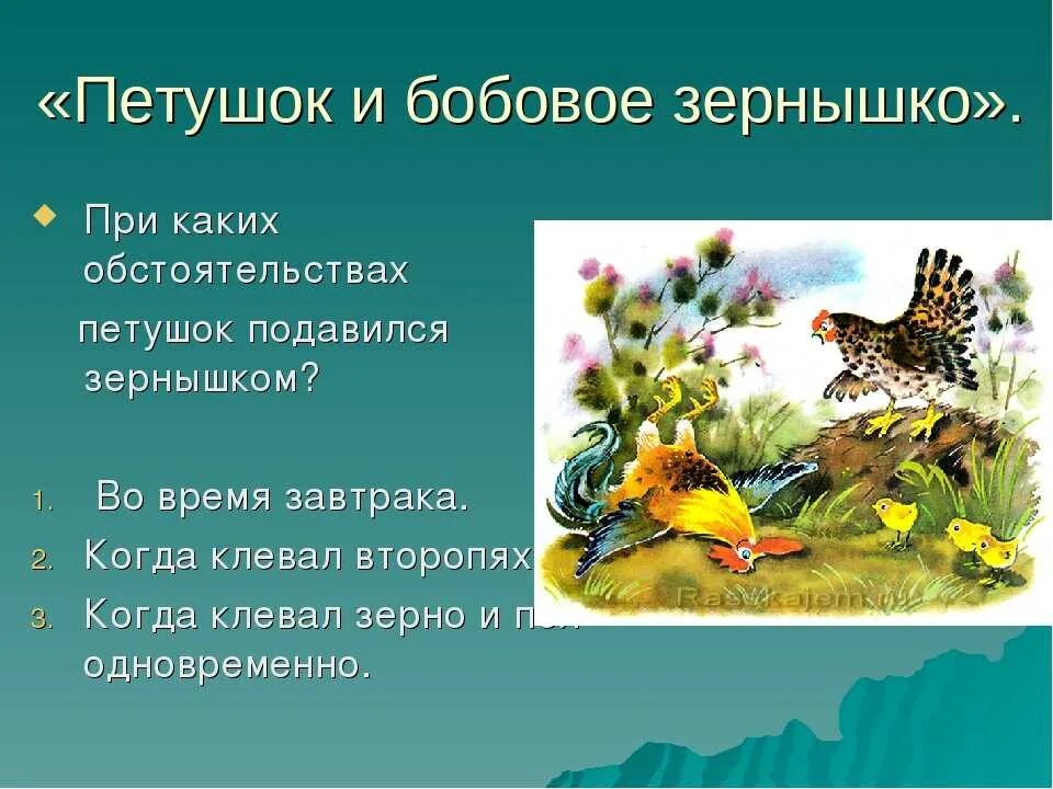 Петушок курочка зернышко подавился из какой сказки. Бобовое зернышко сказка. Петушок и бобовое зернышко план. Петушок и бобовое зернышко читательский дневник. Петушок и бобовое зернышко план пересказа.